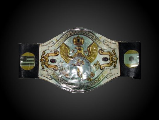 WWF World Martial Arts Heavyweight Championship Belt